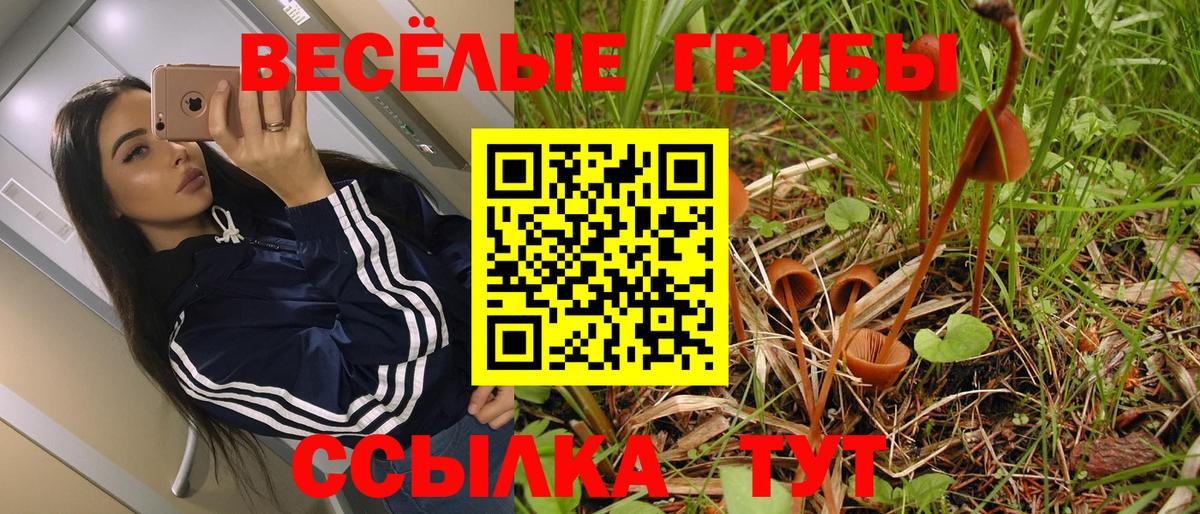 Качканар  Псилоцибиновые грибы ЛСД  Вход с VPN  Псилоцибиновые грибы мицелий 