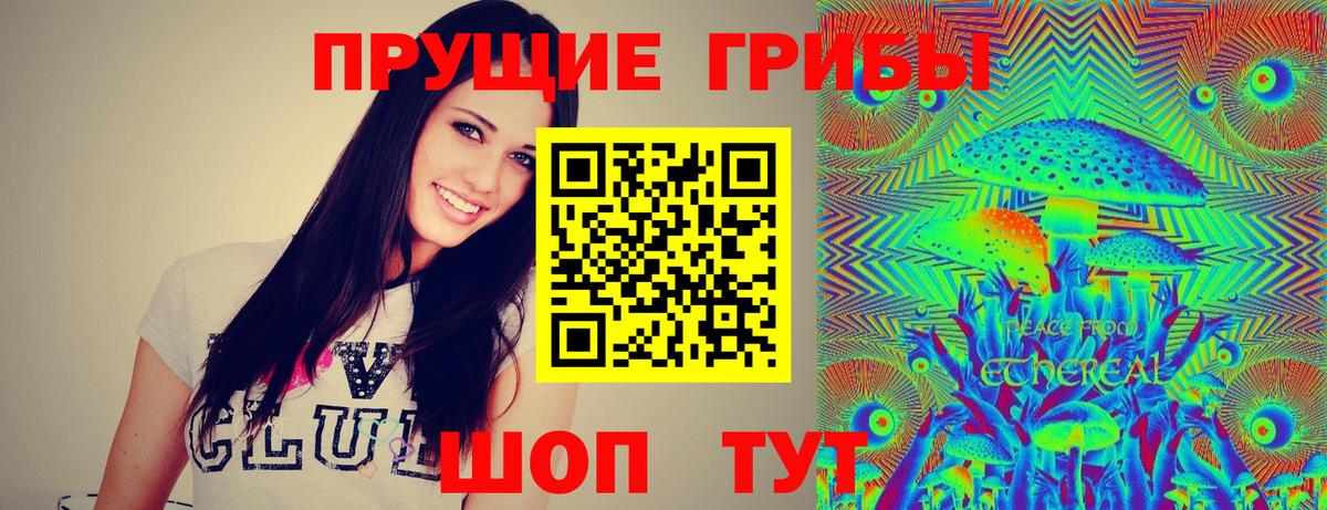 Галлюциногенные грибы MAGIC MUSHROOMS Качканар